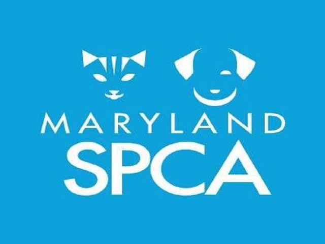 Maryland SPCA's Festival for the Animals is virtual for 2021 - Vimarsana News